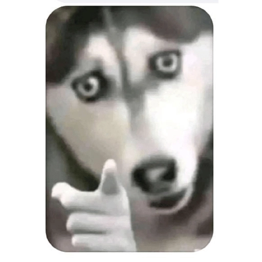 stickers_Porn🔞