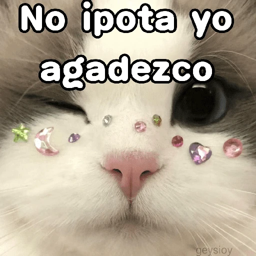stickers_Porn🔞
