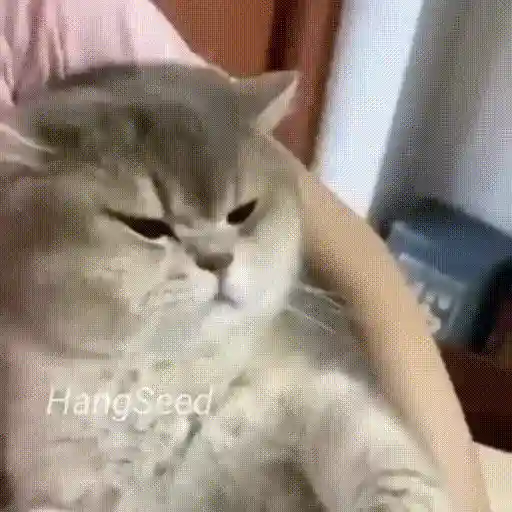 stickers_Porn🔞