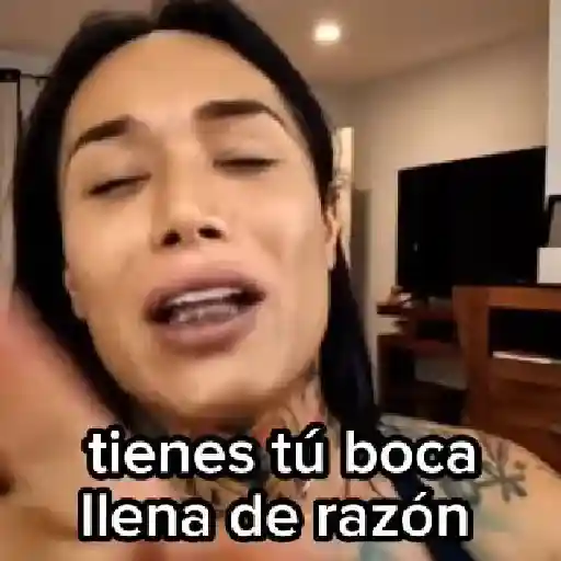 stickers_Karina_Torres_✨🌷(las_perdidas)_