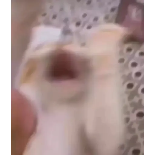 stickers_Porn🔞