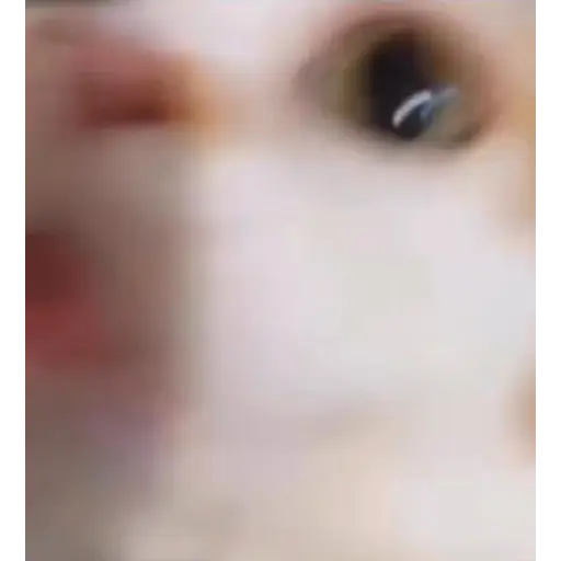 stickers_Porn🔞