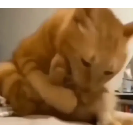 stickers_Porn🔞