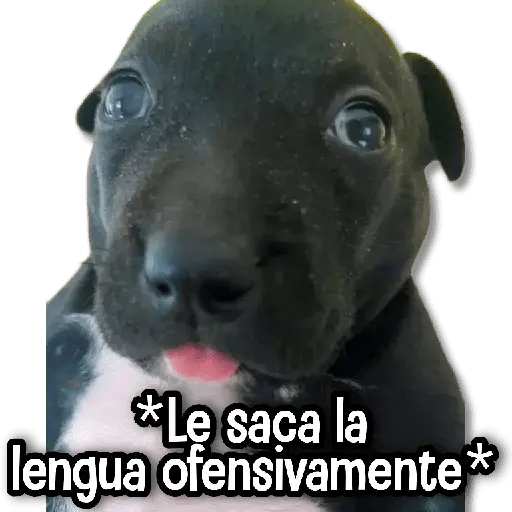 stickers_Porn🔞