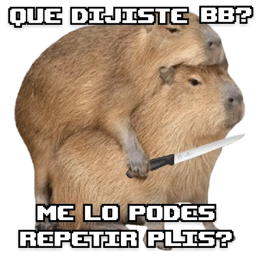 stickers_memes_de_carpinchos_capibaras