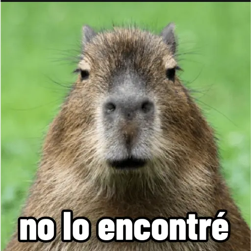 stickers_memes_de_carpinchos_capibaras