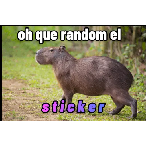 stickers_memes_de_carpinchos_capibaras