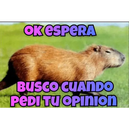 stickers_memes_de_carpinchos_capibaras