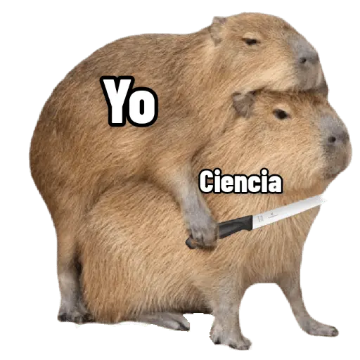 stickers_memes_de_carpinchos_capibaras