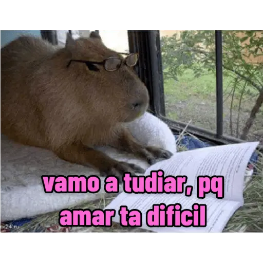 stickers_memes_de_carpinchos_capibaras
