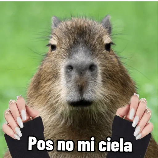 stickers_memes_de_carpinchos_capibaras