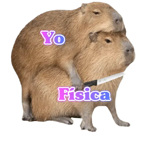 stickers_memes_de_carpinchos_capibaras