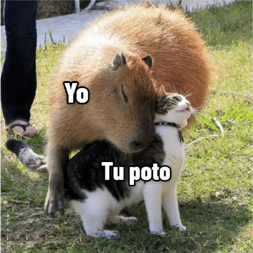 stickers_memes_de_carpinchos_capibaras