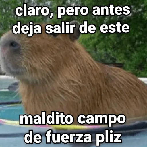 stickers_memes_de_carpinchos_capibaras