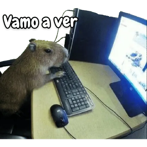 stickers_memes_de_carpinchos_capibaras