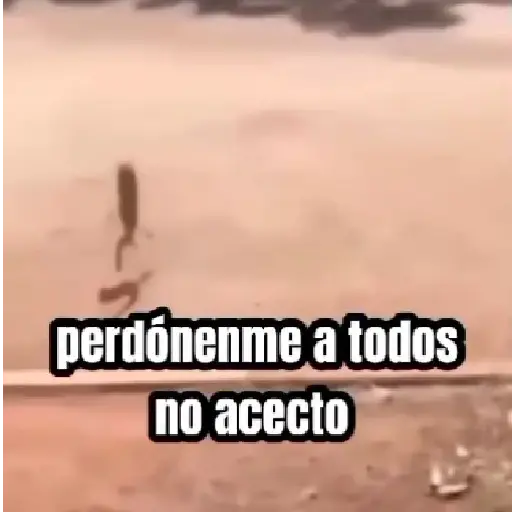 stickers_perdónenme_no_acepto_😎