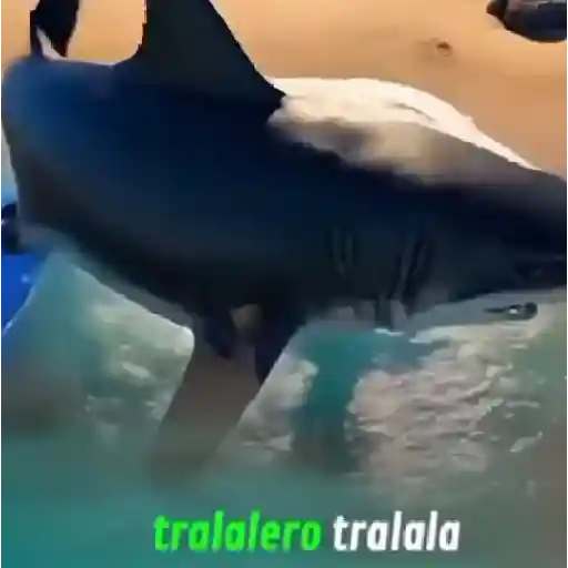 stickers_tralalerotralala🗣🔥