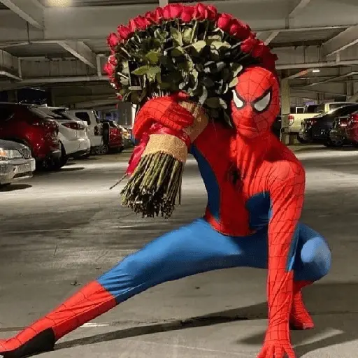 stickers_Memes_homem_aranha
