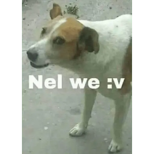 stickers_Ya_no_soy_admin