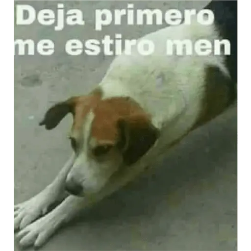 stickers_Ya_no_soy_admin