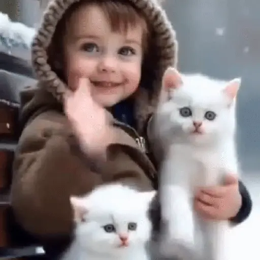 stickers_Bebés_virales_TIKTOK👶🏻