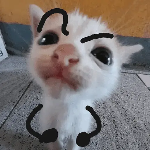 stickers_🐱🐈_GATOS_🐈🐱