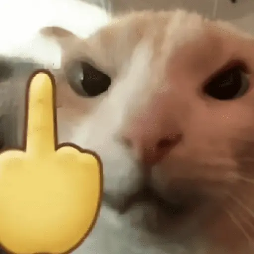 stickers_🐱🐈_GATOS_🐈🐱