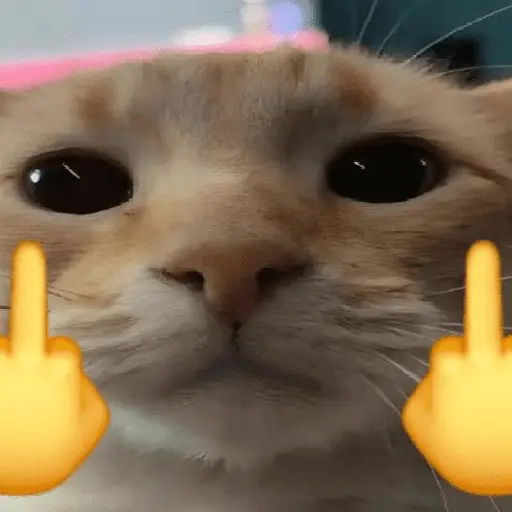 stickers_🐱🐈_GATOS_🐈🐱