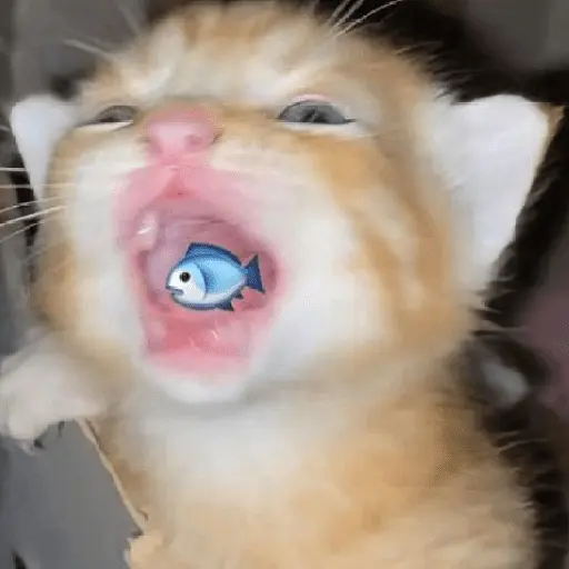 stickers_🐱🐈_GATOS_🐈🐱