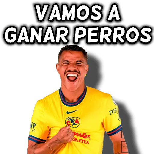 stickers_América_👑⚽