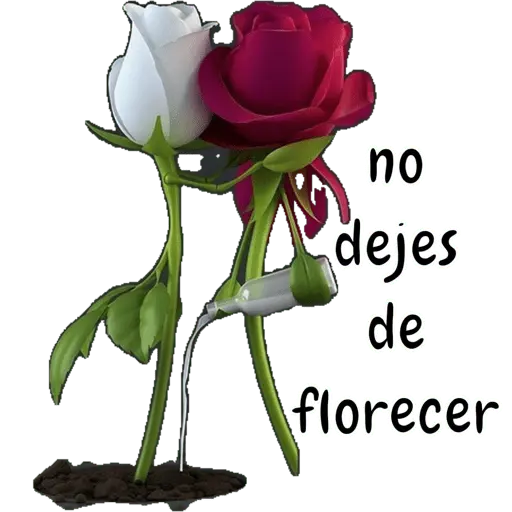 stickers_COQUETA_