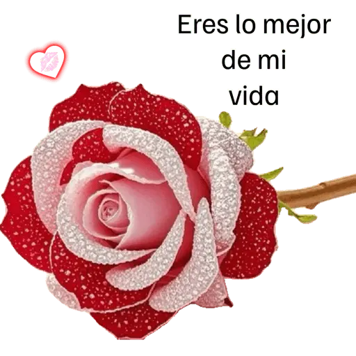 stickers_COQUETA_