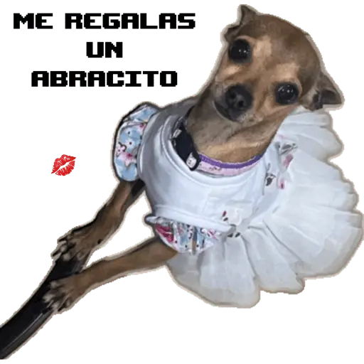 stickers_COQUETA_