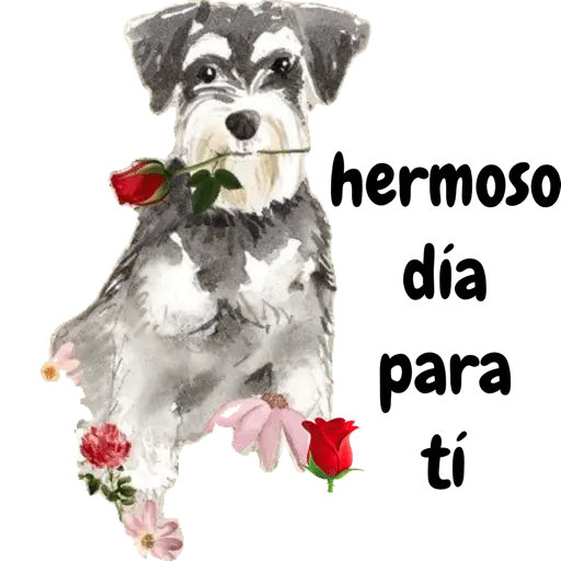 stickers_COQUETA_