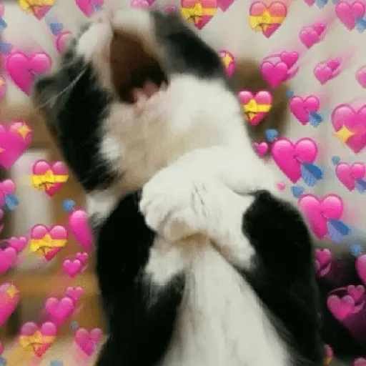 stickers_💞💖_AMOR_6_💖💞