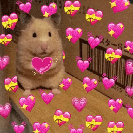 stickers_💞💖_AMOR_6_💖💞