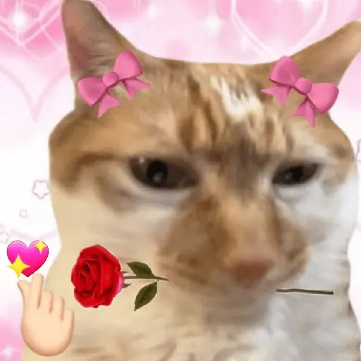 stickers_💞💖_AMOR_6_💖💞