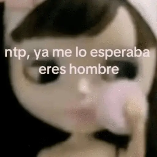 stickers_Memes_pal_chat🤎