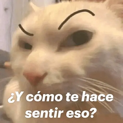 stickers_Memes_pal_chat🤎