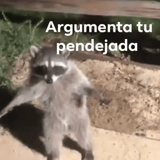 stickers_Memes_pal_chat🤎