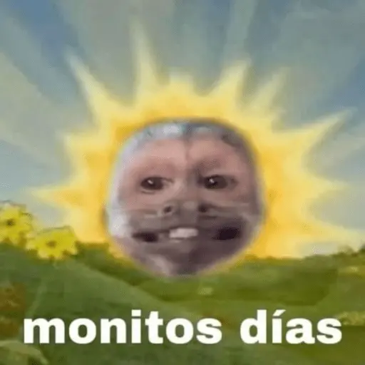 stickers_Memes_pal_chat🤎