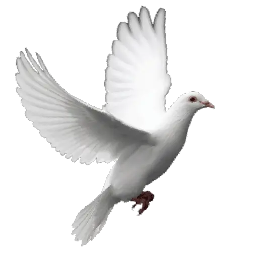 stickers_🕊🪺_Paloma_MIGAJERA_🪺🕊