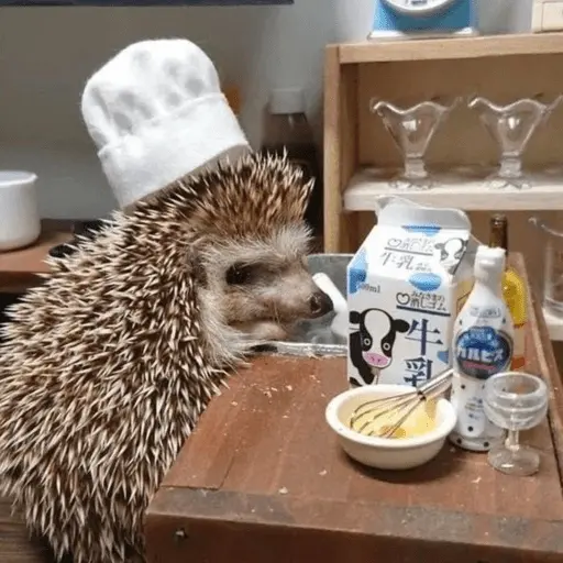 stickers_🦔_ERIZO_MOODS_🦔