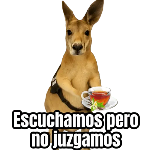 stickers_🦘Memes_canguro_🦘😂