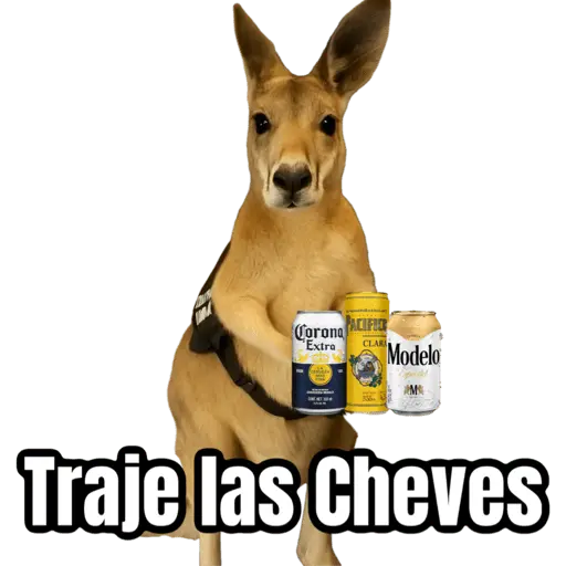 stickers_🦘Memes_canguro_🦘😂
