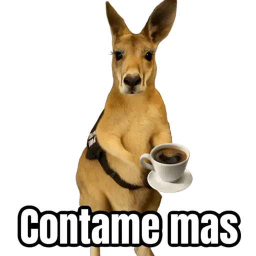 stickers_🦘Memes_canguro_🦘😂