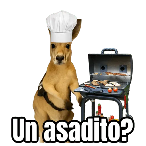 stickers_🦘Memes_canguro_🦘😂