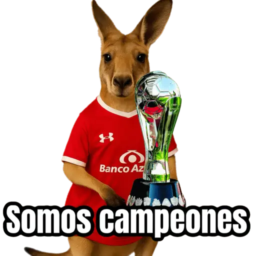 stickers_🦘Memes_canguro_🦘😂