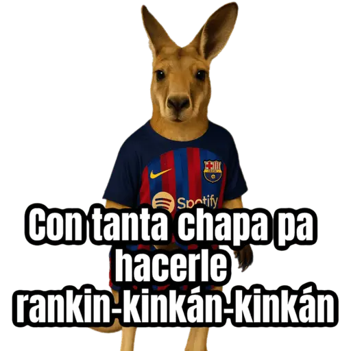 stickers_🦘Memes_canguro_🦘😂