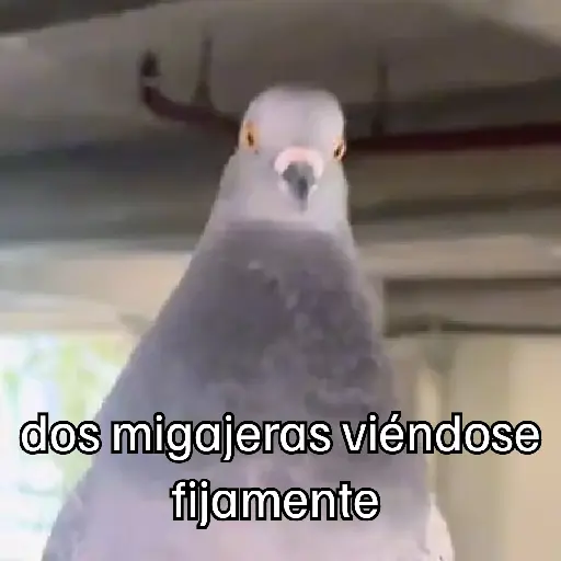 stickers_🐦_PALOMA_MIGAJERA_BAILANDO🐦